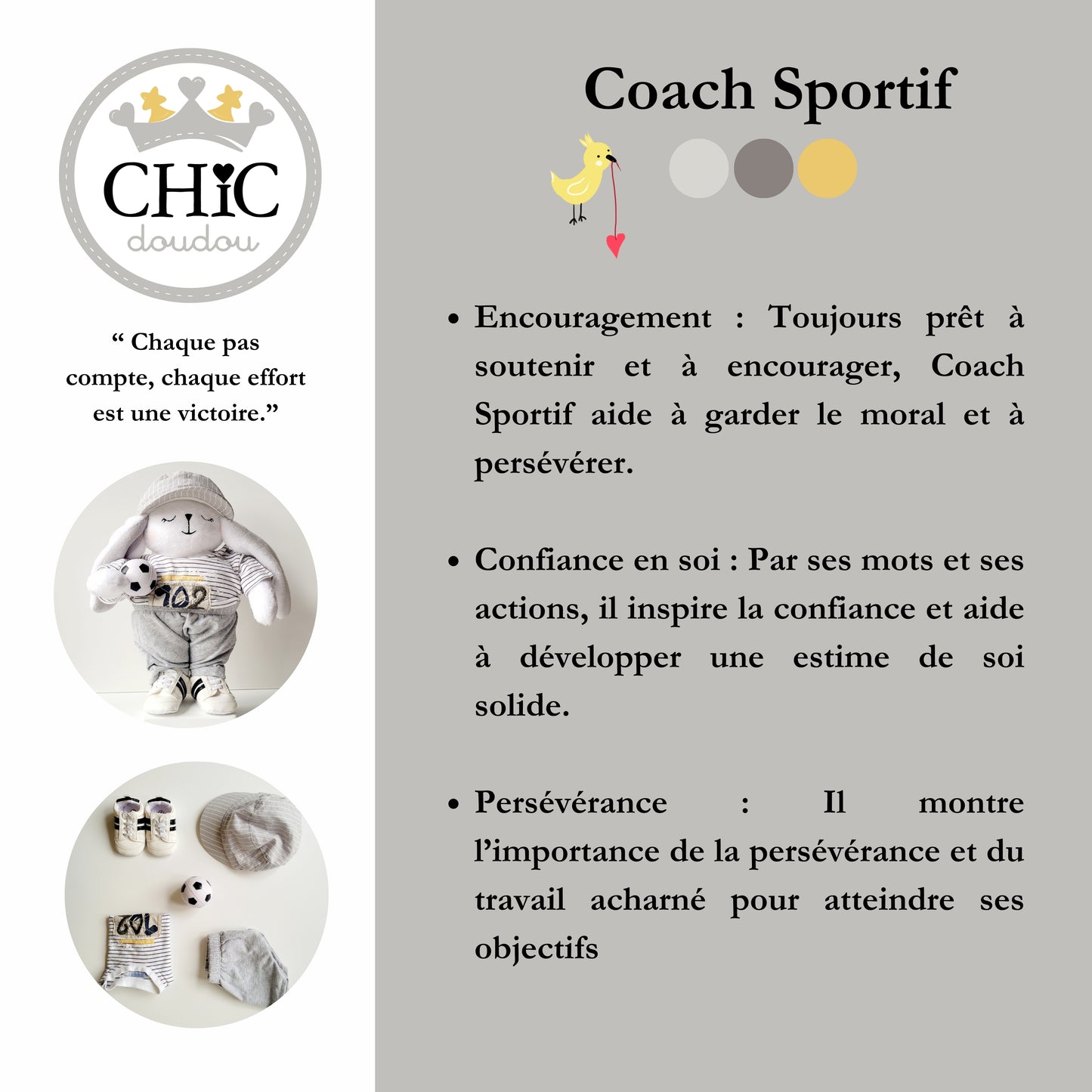 Coach Sportif