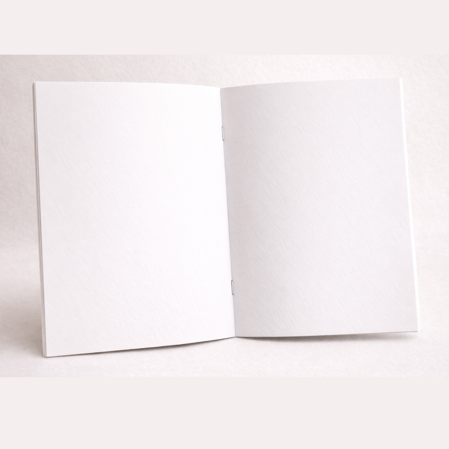 Carnet Isaure et Clémentine